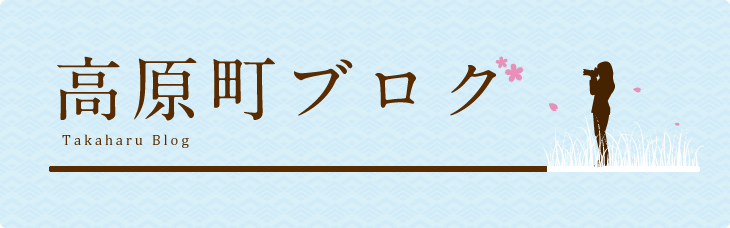 高原町ブログ Takaharu Blog