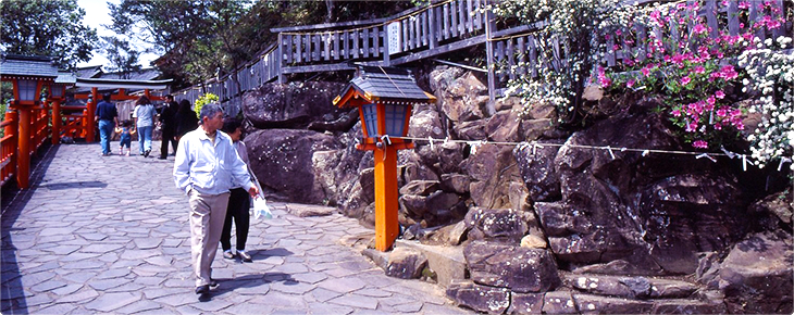 霞神社の写真