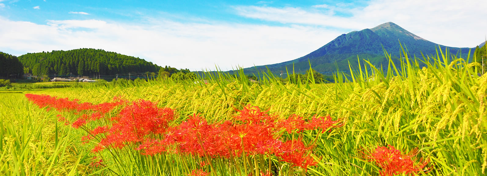 高千穂峰